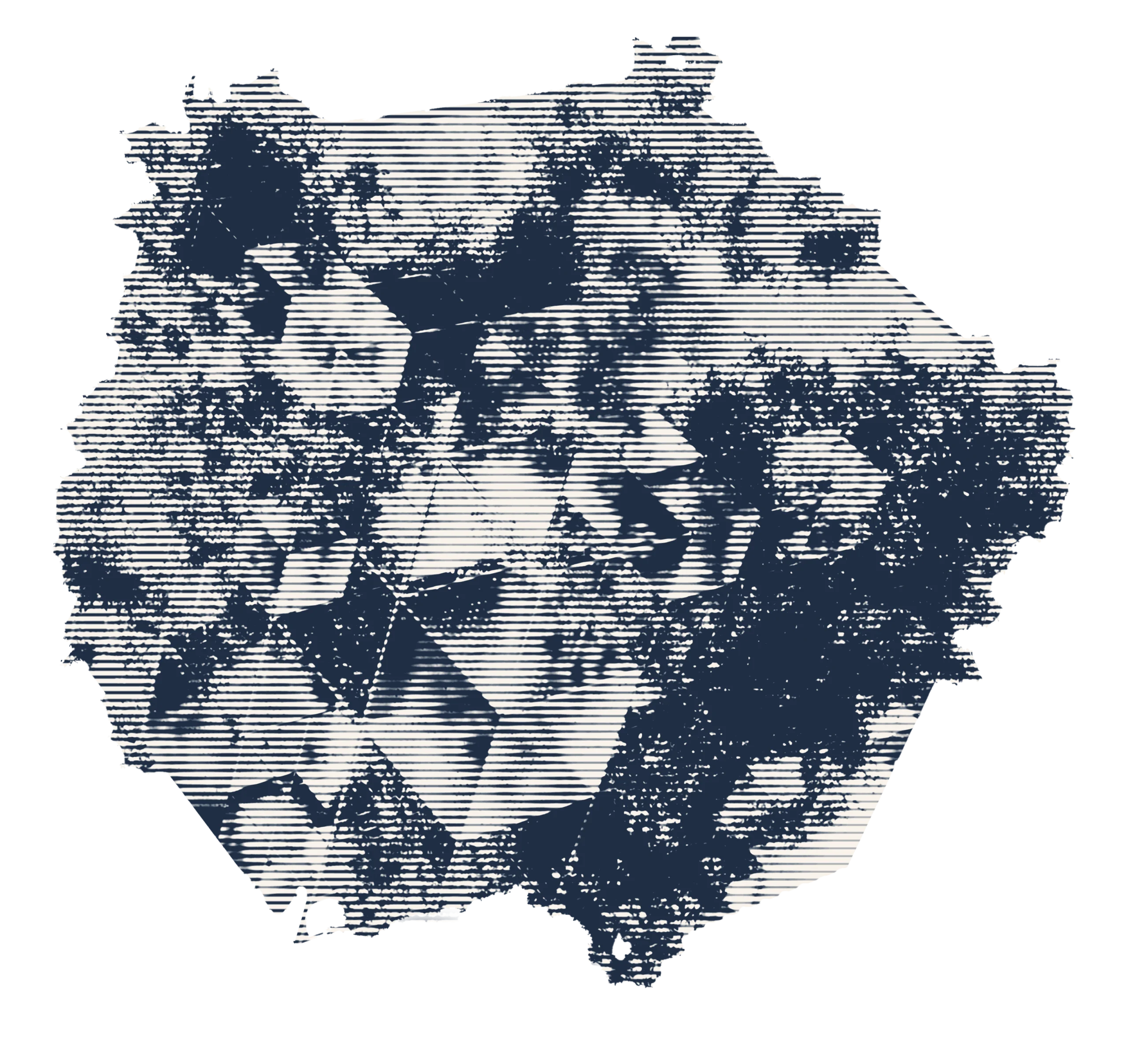 business developmente trasformazione